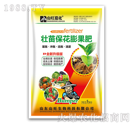 ������������-ɽ������