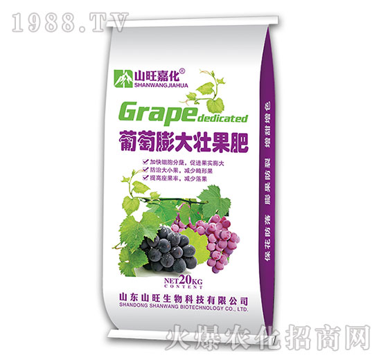 �������ѹ���-ɽ������