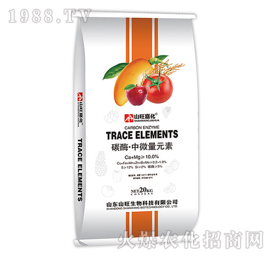 ̼ø����΢��Ԫ��-ɽ������