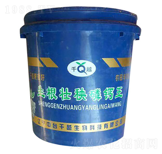 �����������}��-ǧԽ����