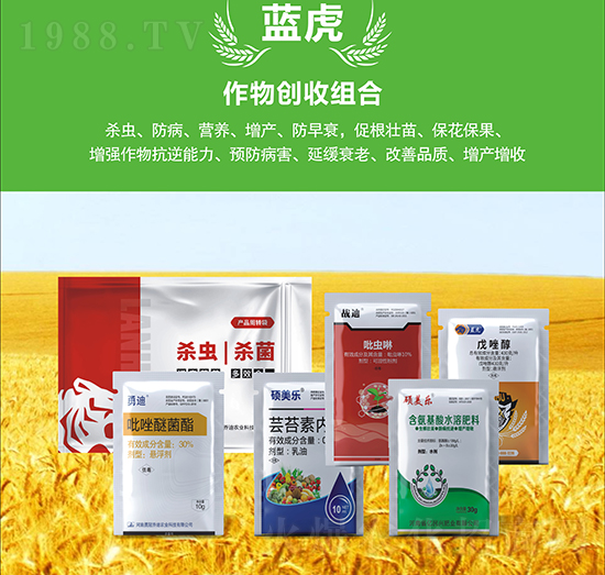 小麥增產(chǎn)套餐-藍虎品牌
