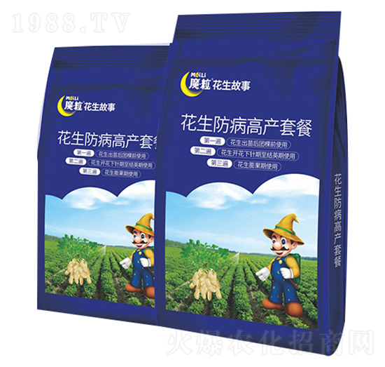 花生防病增產(chǎn)方案-魔?；ㄉ适?魔粒肥業(yè)