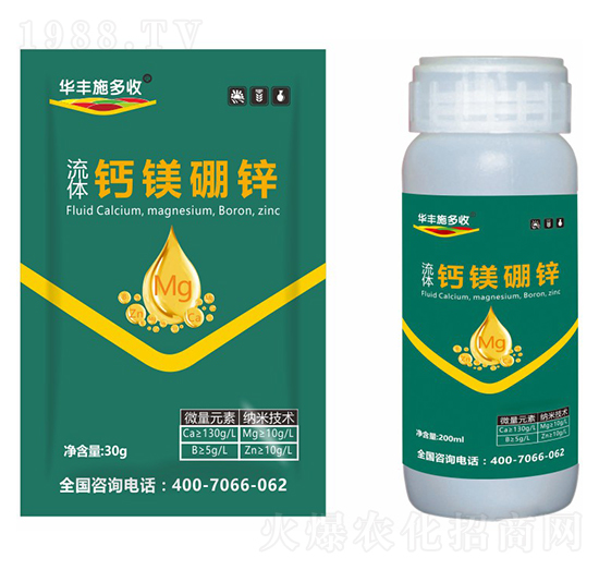 ���w�}�V���\-�A�Sʩ����-�滯���h