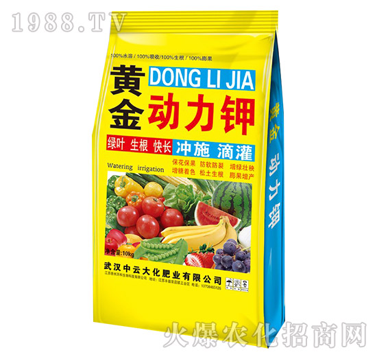 �S����(d��ng)���-���ƴ�