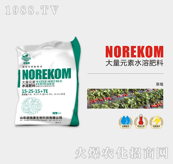 草莓水果類大量元素水溶肥料15-25-15+TE-諾瑞康