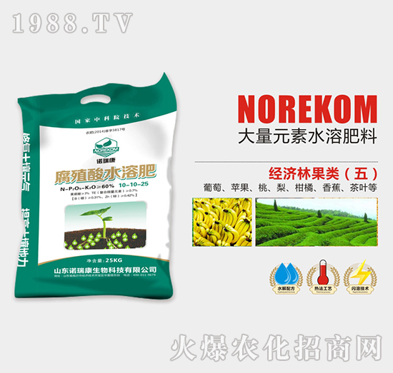 經(jīng)濟(jì)林果類腐植酸水溶肥10-10-25-諾瑞康