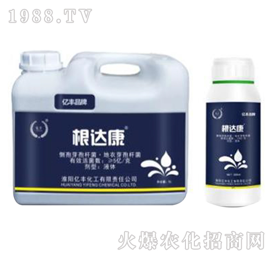 側孢芽子桿菌·地衣芽孢桿菌-根達康-億豐化工