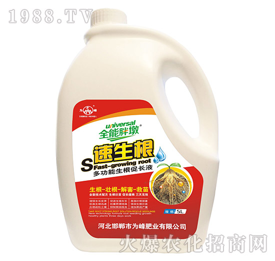 速生根-全能胖墩-為峰