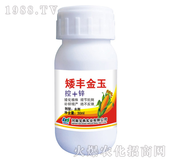 矮豐金玉-寶典實(shí)業(yè)