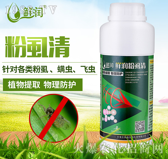 ��ʭ��-�r(n��ng)������