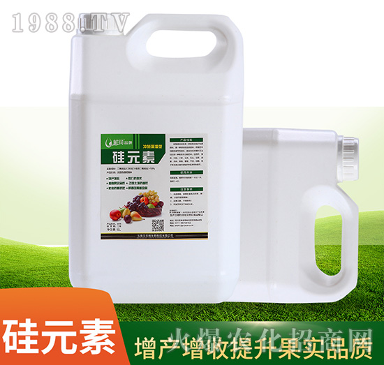 �r����Ԫ���~���-�r������