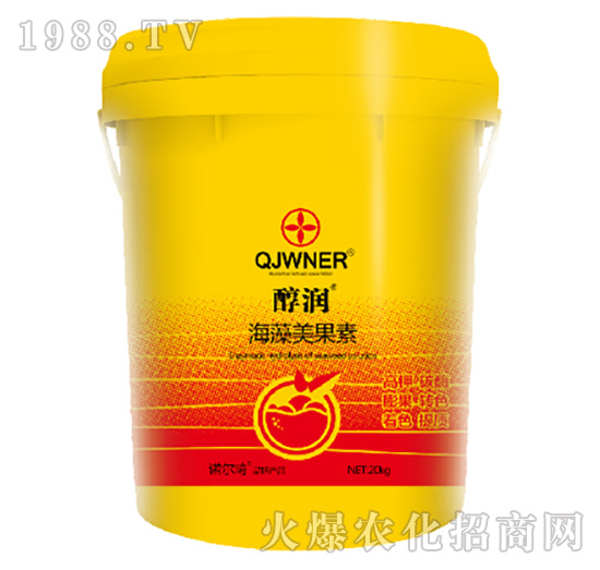 ����������������-�Z����