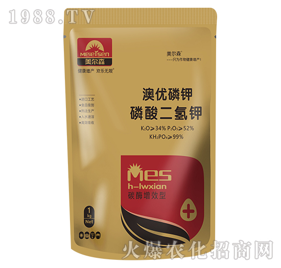 ��������-�ă�(y��u)���-����ɭ