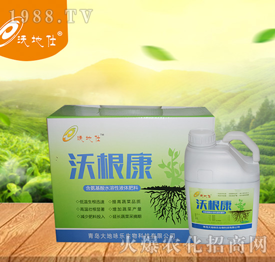 沃根康-大地詠樂(lè)