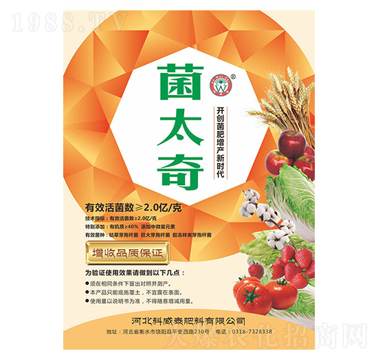 ��̫��-����̩