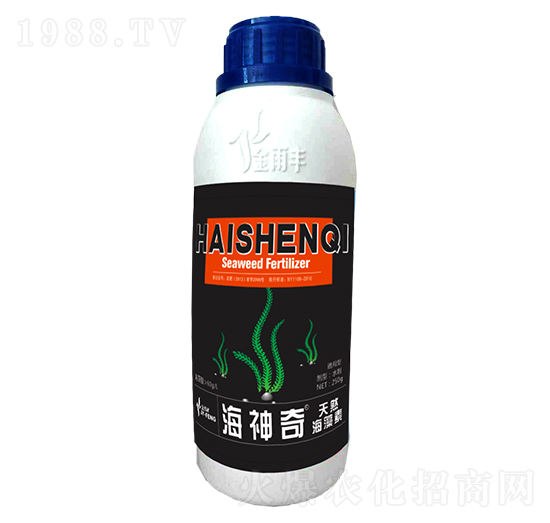 ������-�����S