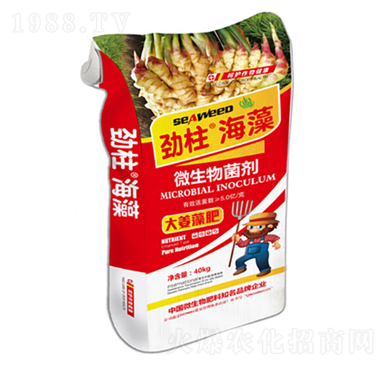 大姜藻肥微生物菌劑-勁柱·海藻-順時針