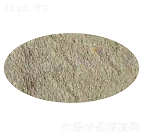 側(cè)孢芽孢桿菌-皓凱生物