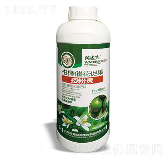 1000g���ٴ߻��ٹ��ڷ��`-�S�ϴ�-�ƺ�(li��n)��