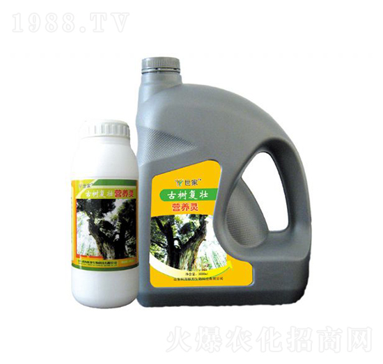 古樹(shù)復(fù)壯營(yíng)養(yǎng)靈-世家-科海聯(lián)邦