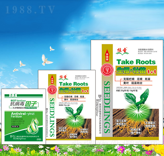 ��������1+1-ֲʥ-��Ұ�r(n��ng)��