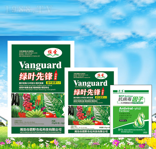 �G�~���h1+1-ֲʥ-��Ұ�r��