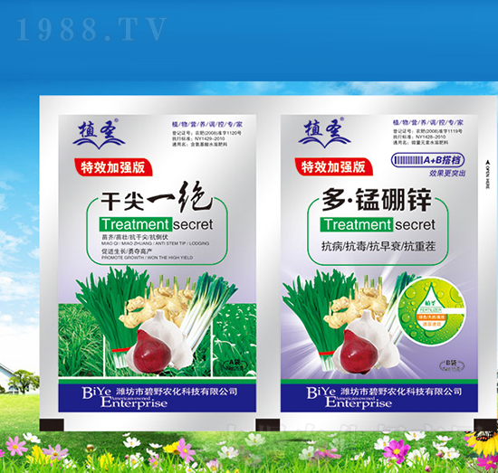干尖一絕+多錳硼鋅-植圣-碧野農化