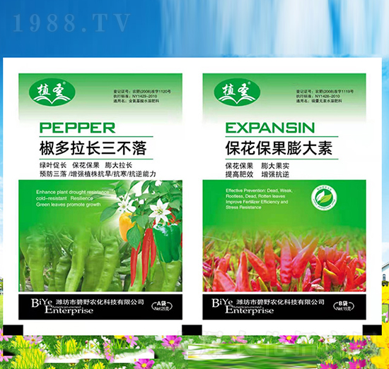 ?；ū９虼笏?椒多拉長(zhǎng)三不落-植圣-碧野農(nóng)化