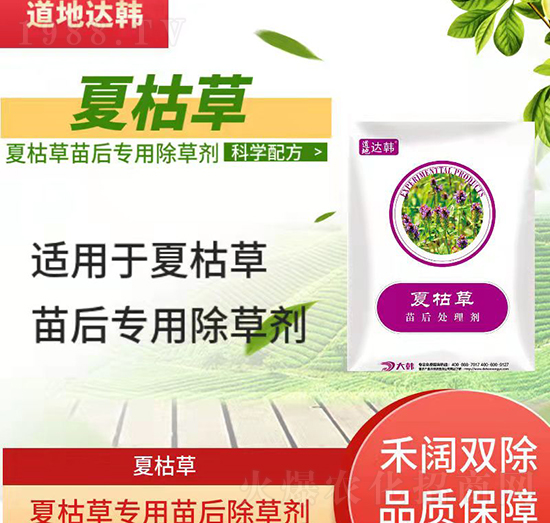 �Ŀݲݳ��݄�-�Ŀݲ����-�Ŀݲ݌���-���n