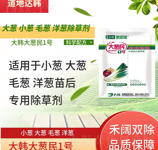 ���[С�[ë�[���[���������݄�-����¡-���n