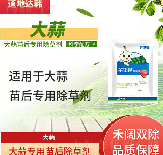 ������݄�-�������-���⌣(zhu��n)��-����¡��M�@-���n