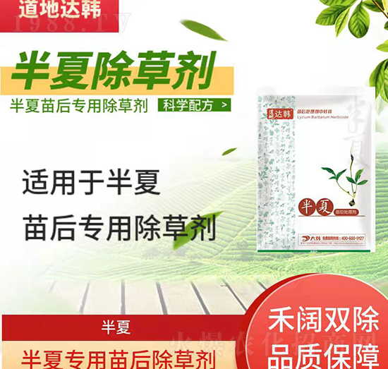 半夏除草劑-半夏苗后-半夏專用-大韓