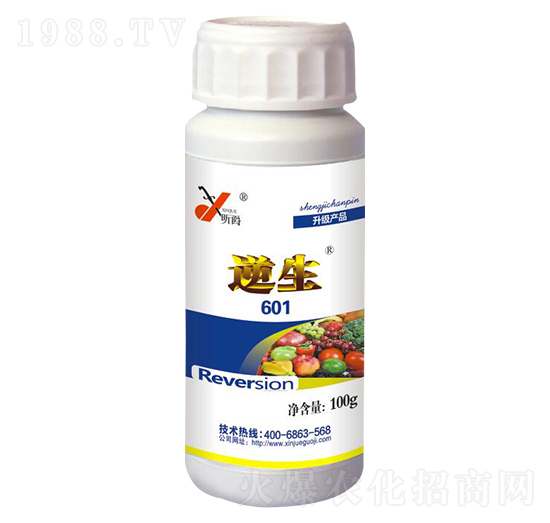 ����601-꿾�