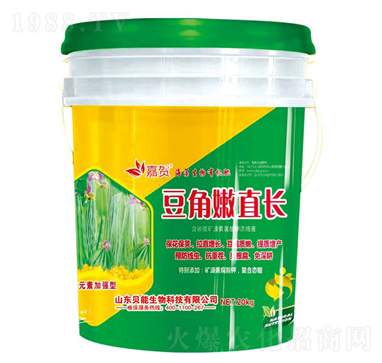 豆角嫩直長-貝能生物