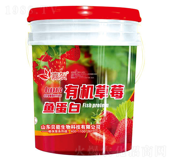 有機(jī)草莓魚蛋白-貝能生物