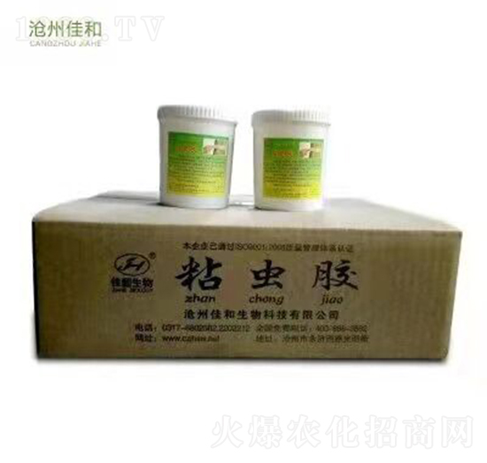 ճ�x(ch��ng)�z �Ѻ�