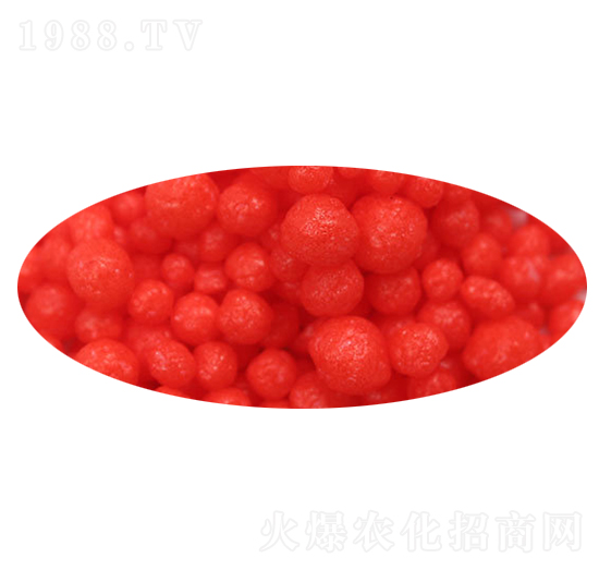 �tɫ��������-����