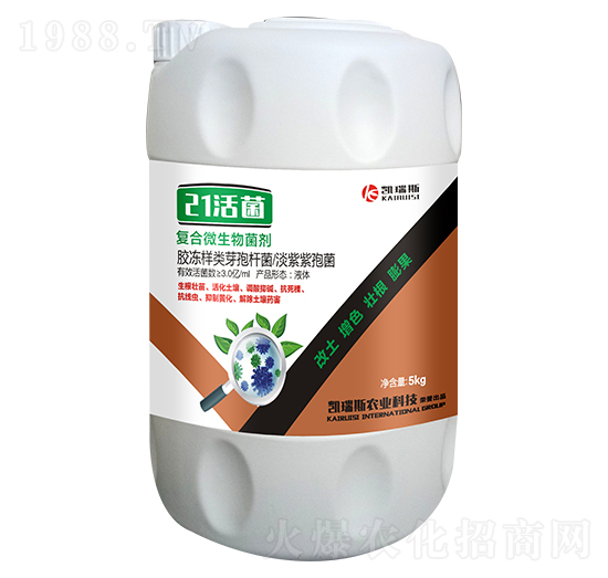 ��(f��)��΢�������-21���-�P��˹