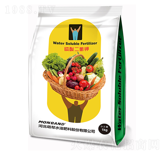 ��������-�Ȏ�