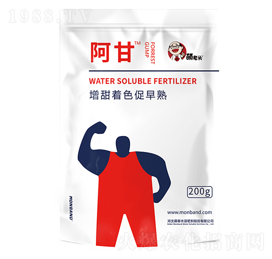 ����-�����^-�Ȏ�