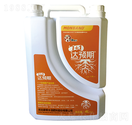 1+1�_�A��-�Ȏ�