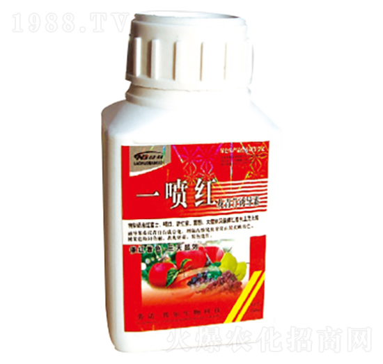 һ���t-������