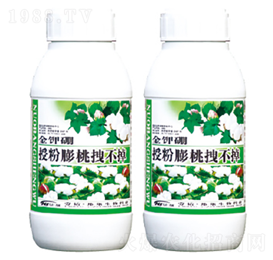 �ڷ�����ק����-������