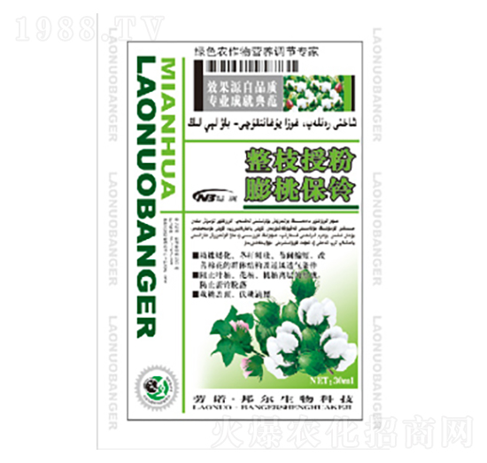 ��֦�ڷ����ұ��-������