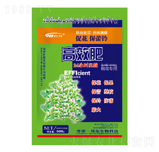 ��Ч��-������