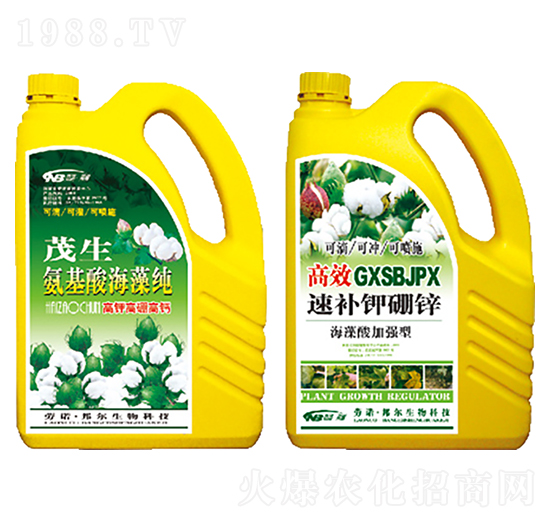 �����ả�弃+���a(b��)����\-������