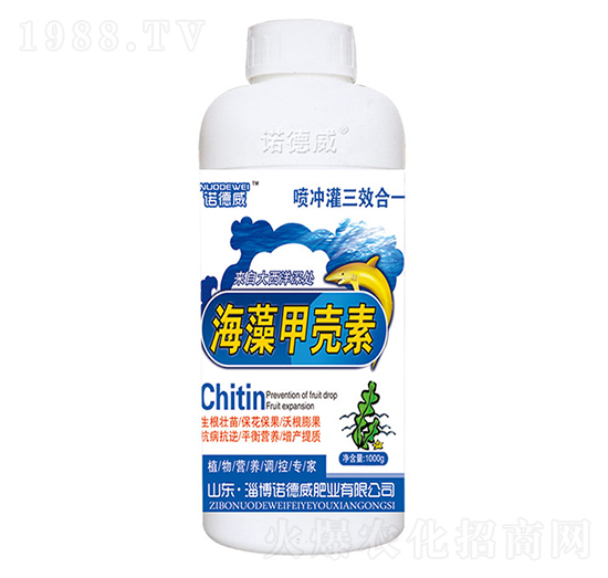 ����ך���-�Z����