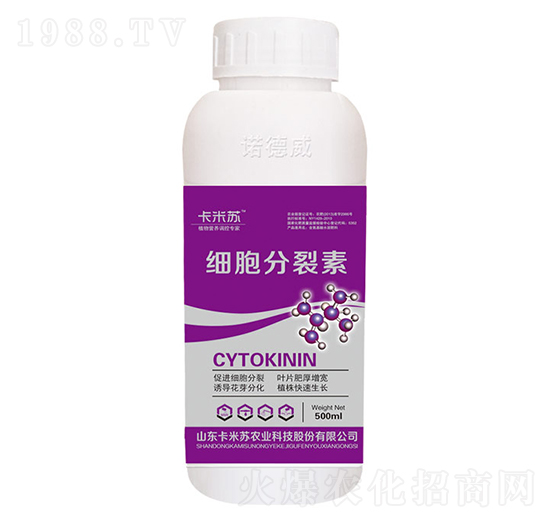 500ml��(x��)��������-�Z����