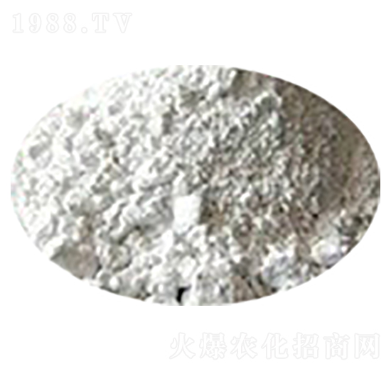 海洋生物質(zhì)牡蠣粉-海大生物