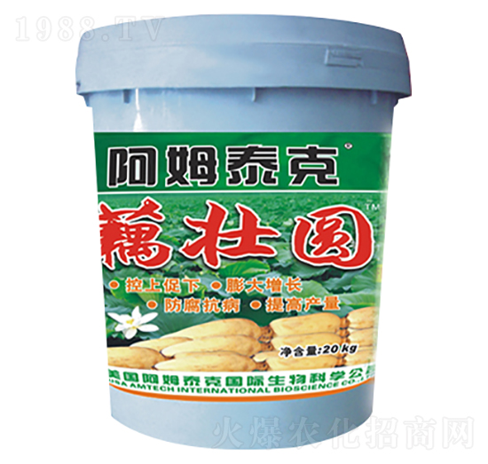 藕壯圓-阿姆泰克-迦姆農業(yè)